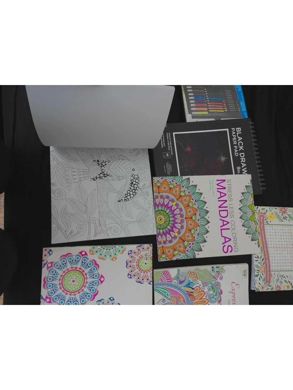 Adult Coloring Book & Art Supply Lot Mandalas Markers Crayons Pencils Bundle